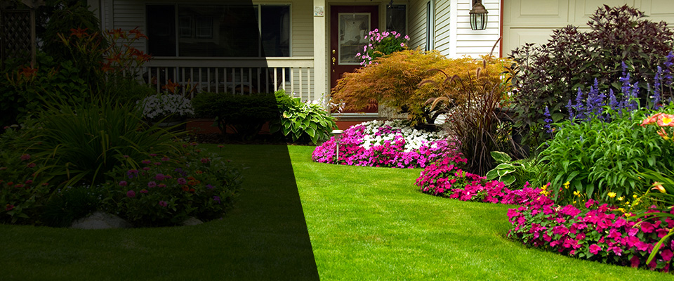 Dublin Landscapers